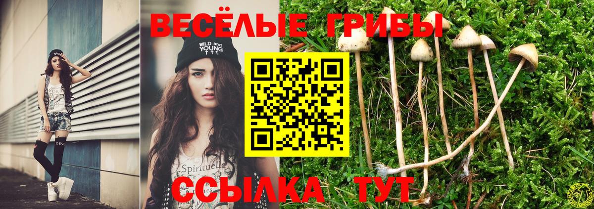 Псилоцибиновые грибы Magic Shrooms Усть-Илимск
