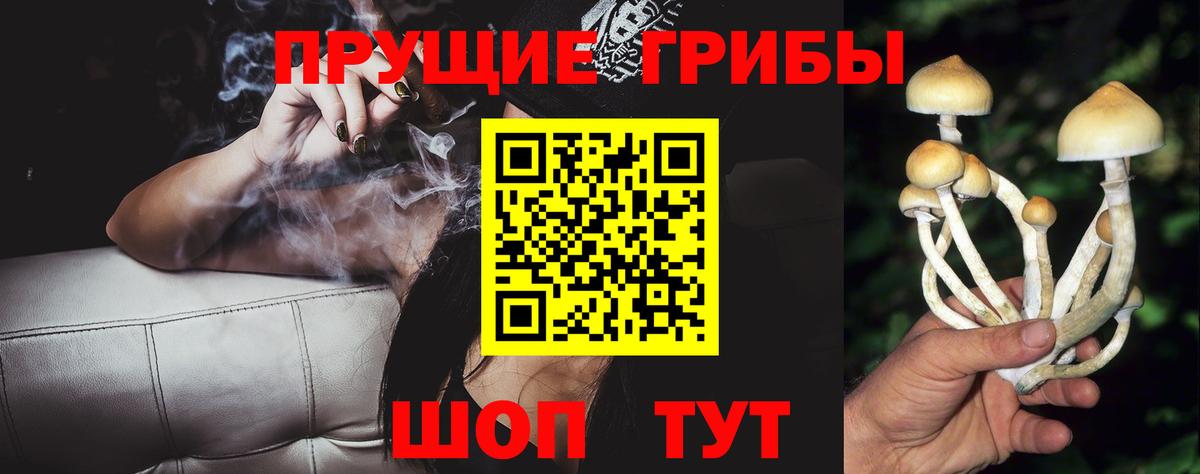 где купить наркоту  Вход с VPN  Усть-Илимск  Псилоцибиновые грибы GOLDEN TEACHER 